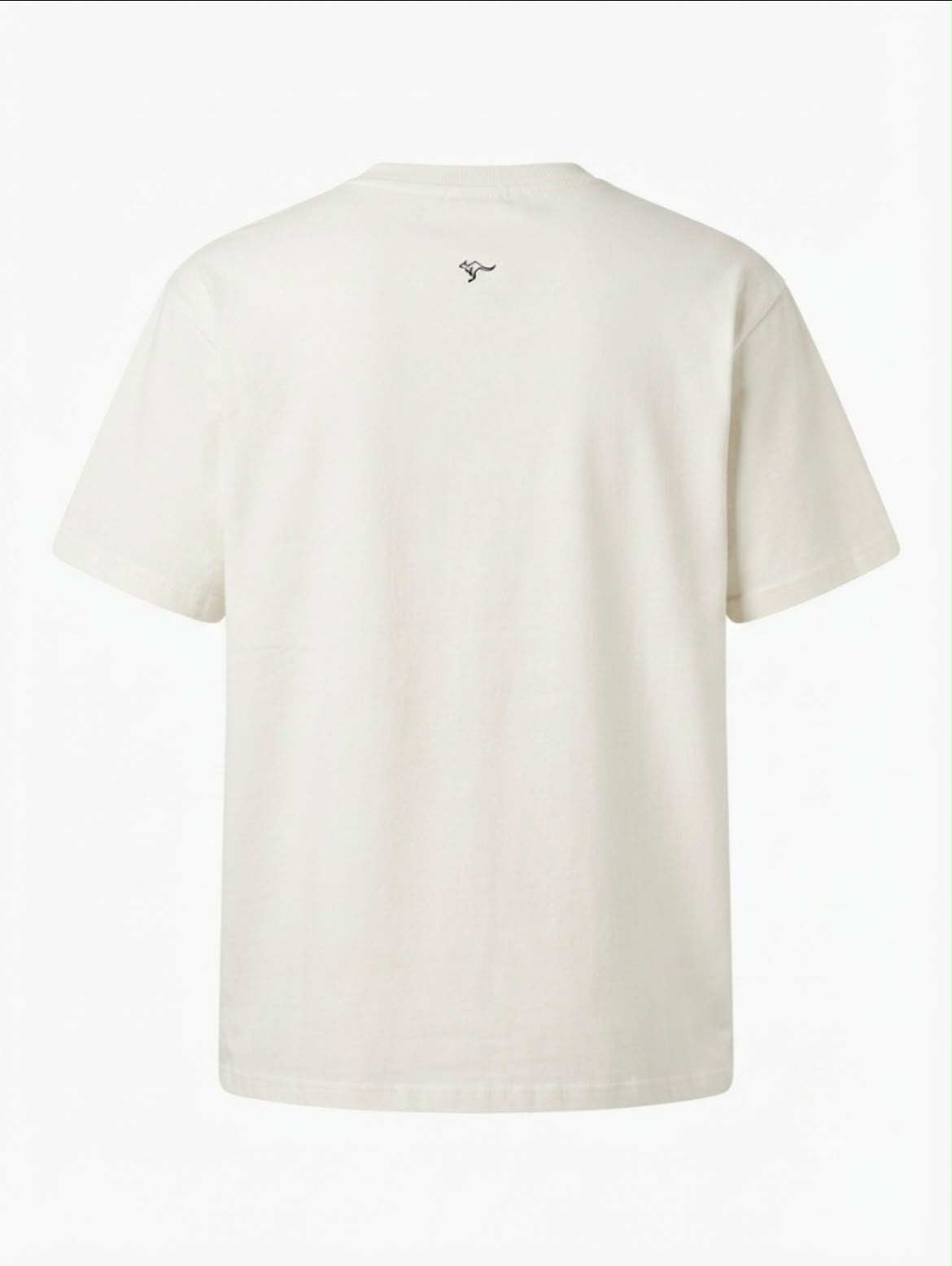 Bear Sketch Tee | Sketch Collection